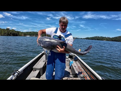 Watch This To Learn How To Catch Really Big Catfish