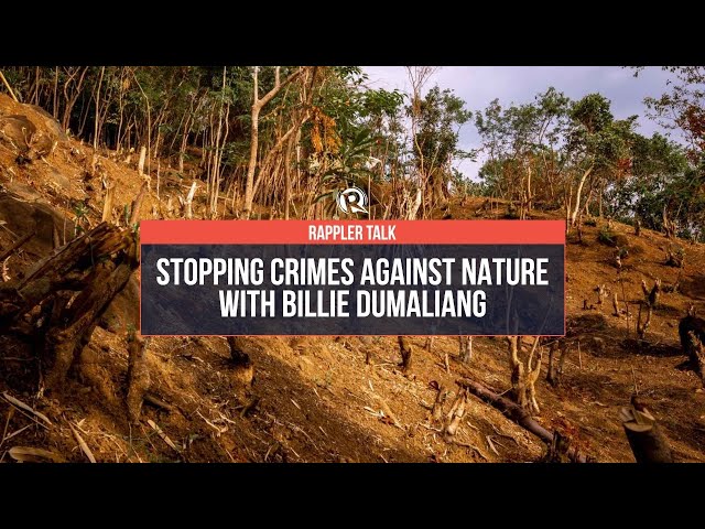 Rappler Talk: Stopping crimes against nature with Billie Dumaliang