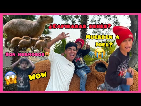 WE WENT TO SEE BABY CAPYBARAS AT THE PARK OF THE LEGENDS 🦖😱- Joel comes out crying 😭- Hardytineo