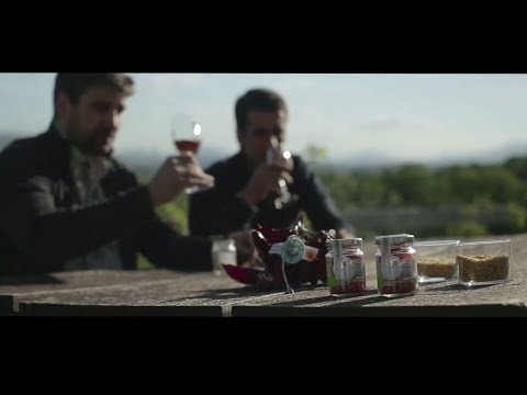 Voir la vidéo : Mattin et Xabi Castanchoa, Producteurs de piment d’Espelette