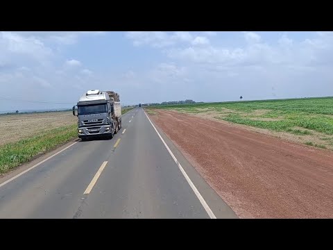 BR 230 BALSAS FLORESTA DOS NOGUEIRAS, SÃO RAIMUNDO DAS MANGABEIRAS, SÃO DOMINGOS DO AZEITÃO-18/11/25