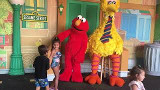 Meeting Elmo and big bird