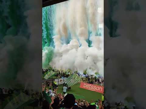 "Atlético Nacional y su hinchada | Los más grandes en Colombia | Nacional vs Millonarios." Barra: Los del Sur &bull; Club: Atlético Nacional &bull; País: Colombia