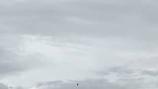 Great Tennessee Air Show June 8th 2019 USAF F-16 Viper Demo Team #shorts