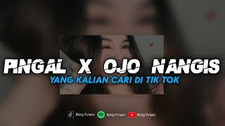 Download lagu DJ PINGAL X OJO NANGIS || YANG KALIAN CARII mp3 Download lagu DJ PINGAL X OJO NANGIS || YANG KALIAN CARII mp3