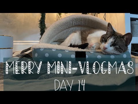 Merry Mini-Vlogmas Day 14