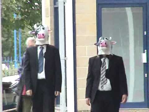 for all the cows music video