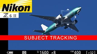 Nikon Z6II for Wildlife Photography | Subject Tracking Review | Nikon 200 500