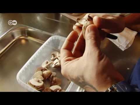 Skrei - Winterkabeljau aus Norwegen | Euromaxx a la carte