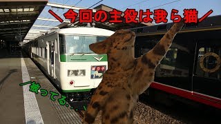 【ゆっくり実況鉄道旅】ほろ酔い長距離片道切符一人旅♪　E353と猫　2号車