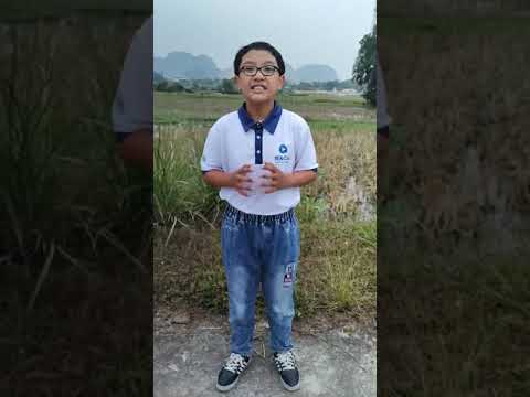 Treinamento S4P: tema NATUREZA _ Natureza e Saúde Mental por Phạm Đức Thịnh