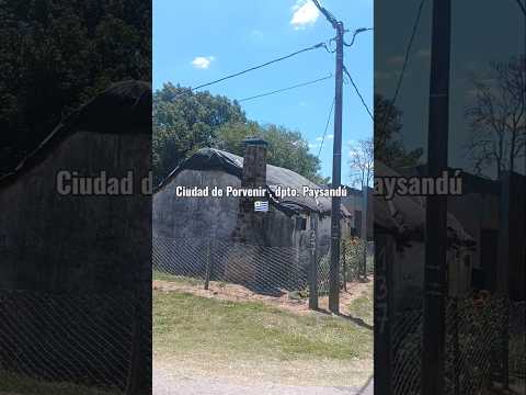 Ciudad de Porvenir , departamento de Paysandú , Uruguay 🇺🇾 , videitos cultura uruguaya .