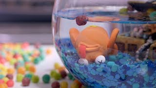 Baby FuzZ - Disneyland (Official Music Video)