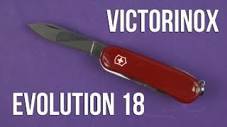 Victorinox Evolution 18 (2.4913.E) - відео 1