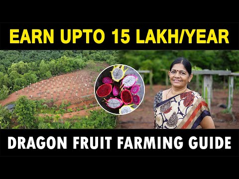 , title : 'Dragon Fruit Farming Guide | How to Grow Dragon Fruit at Home | Dragon Fruit Cultivation'