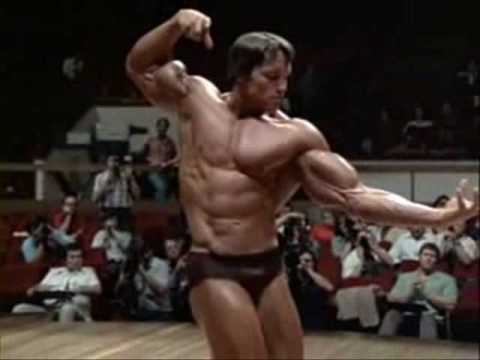 Arnold Schwarzenegger - The Austrian Oak