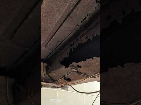 1960 Chevy El Camino walk around