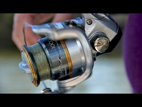 Gear Talk: Mackerel on Light Tackle