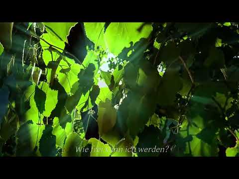 Wie tief kann ich fallen, wenn alles zerfällt