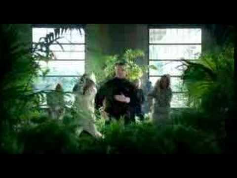 Dicecream & Brainpower - Vlinders