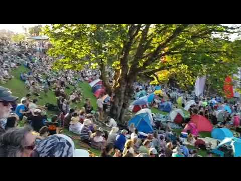 Womad New Zealand The World's Festival 2019