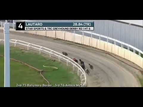 🏆🇬🇧 Star Sports & TRC English Greyhound Derby 2022 🇬🇧🏆