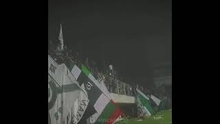 Download lagu Story wa pss sleman mp3