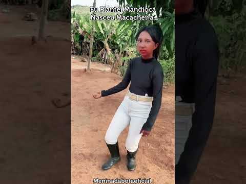 Eu plantei mandioca #viralvideo #dueto