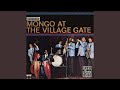 Mongo's Groove (Live)
