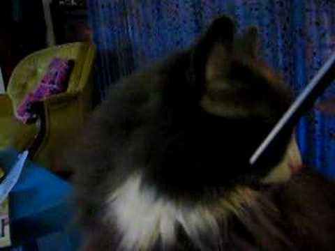 Elroy eats the nailfile