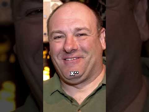 Сопрано не должен быть популярен. Как выстрелил сериал The Sopranos James Gandolfini