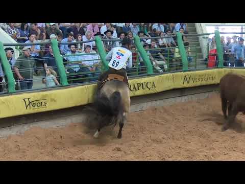 LA CASTELLANA ESPLENDOR