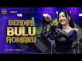 BERDIRI BULU ROMAKU Cantika Adella OM ADELLA