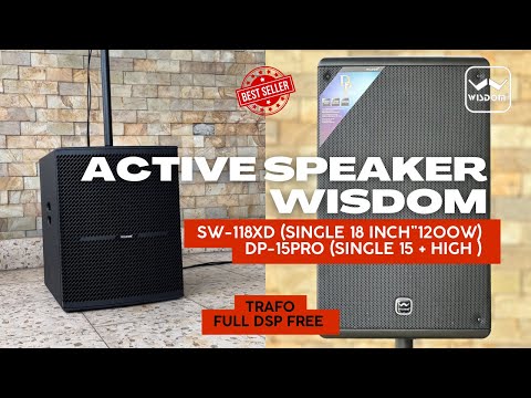 ACTIVE SPEAKER WISDOM SUB SW-118 XD & DP-15PRO REVIEW