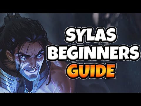 THE ULTIMATE SYLAS BEGINNERS GUIDE (EVERYTHING YOU NEED TO KNOW)