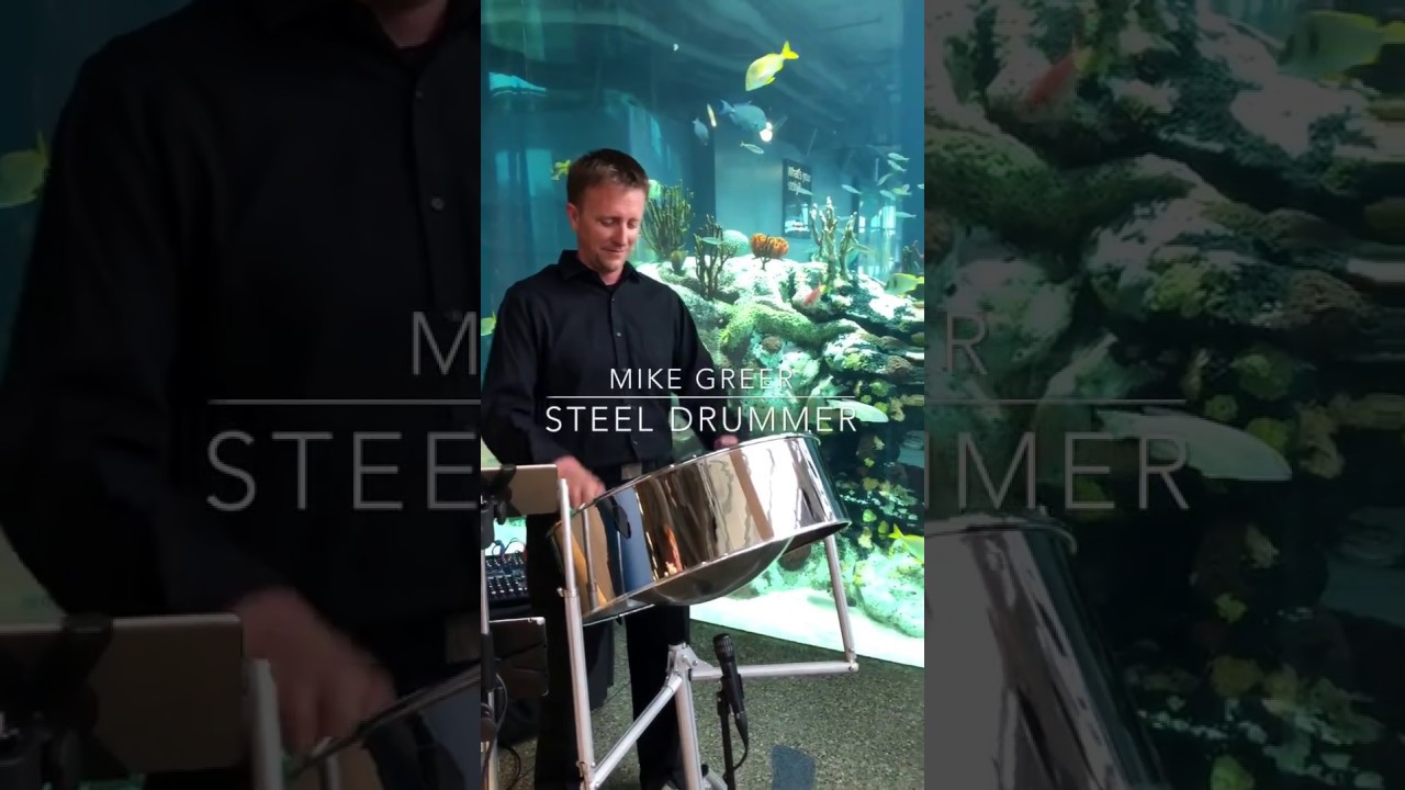 Hire Mike Greer Steel Drummer Steel Drum Player in Charleston, South