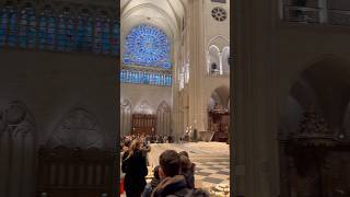 Cathédrale Notre-Dame de Paris 🇫🇷 #shorts #travel #jesus #religion #france #history #paris