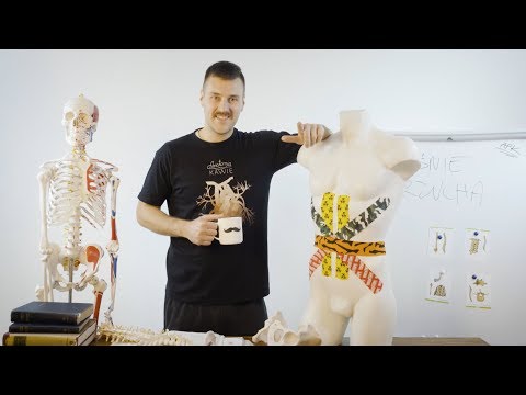 Ćwiczenia pompować mięśnie brzucha w domu Ścięgna biceps pęknięcie leczenie