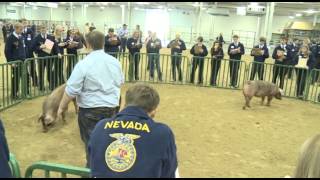 About FFA Career Development Events | National FFA Convention & Expo