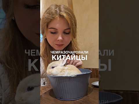 Чем меня разочаровали китайцы