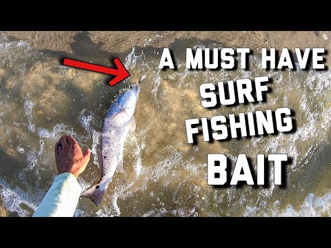 download lagu mp3 mp4 Fishing Vacations In Alabama, download lagu Fishing Vacations In Alabama gratis, unduh video klip Fishing Vacations In Alabama