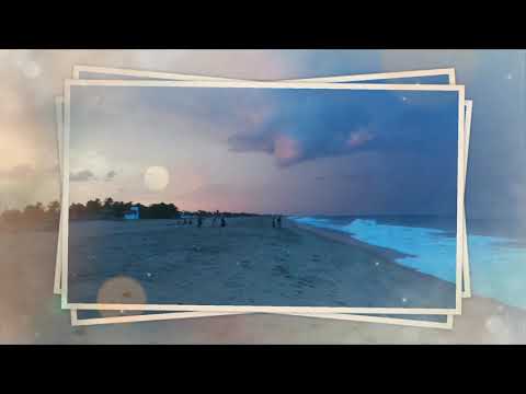 Life with  Nature .....    // Addalaichenai beach // Rainy time