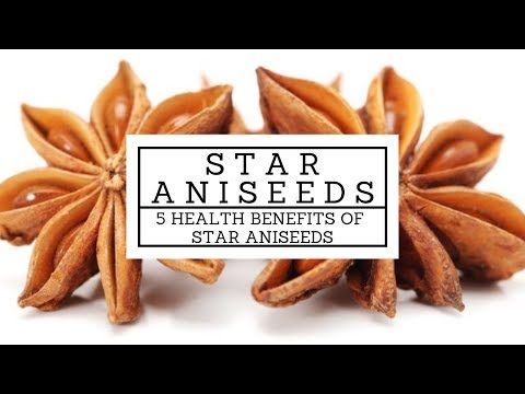 download lagu mp3 mp4 Star Anise Benefits In Ayurveda, download lagu Star Anise Benefits In Ayurveda gratis, unduh video klip Star Anise Benefits In Ayurveda