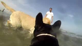 MI PRIMER DÍA DE PLAYA