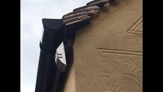 Album cover: Top Tips for Pest Control