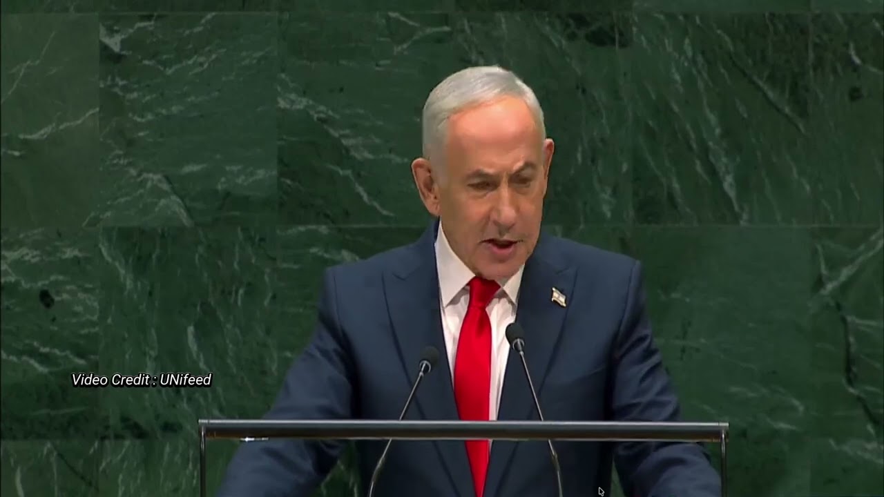 UNGA81