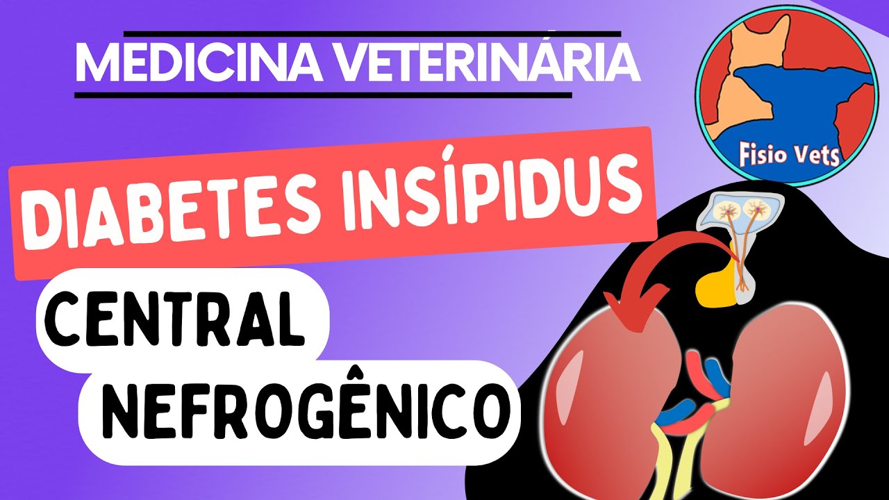 Diabetes insípidus (central e nefrogênico) - Fisiopatologia e Causas - Medicina Veterinária