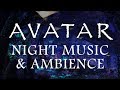 Avatar Music Ambience Pandora At Night Bioluminescence Forest Sounds And Occasional Rain