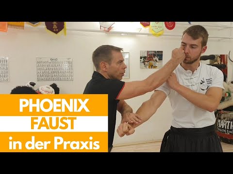 How to Kung Fu || Phoenix-Faust in der Praxis