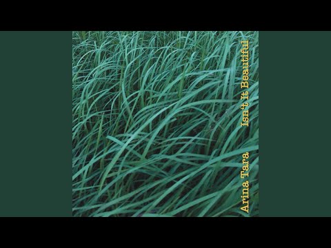 Isn't It Beautiful (Acoustic Version)